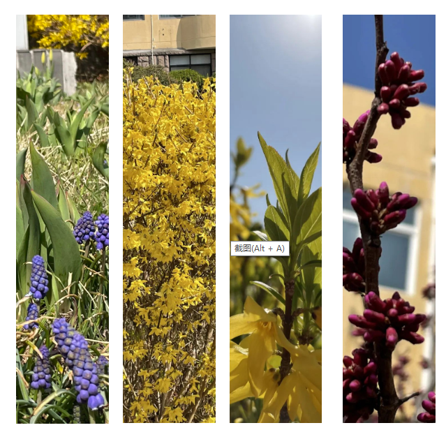 微信截圖_20220412095523.png 微信截圖_20220412095523.png